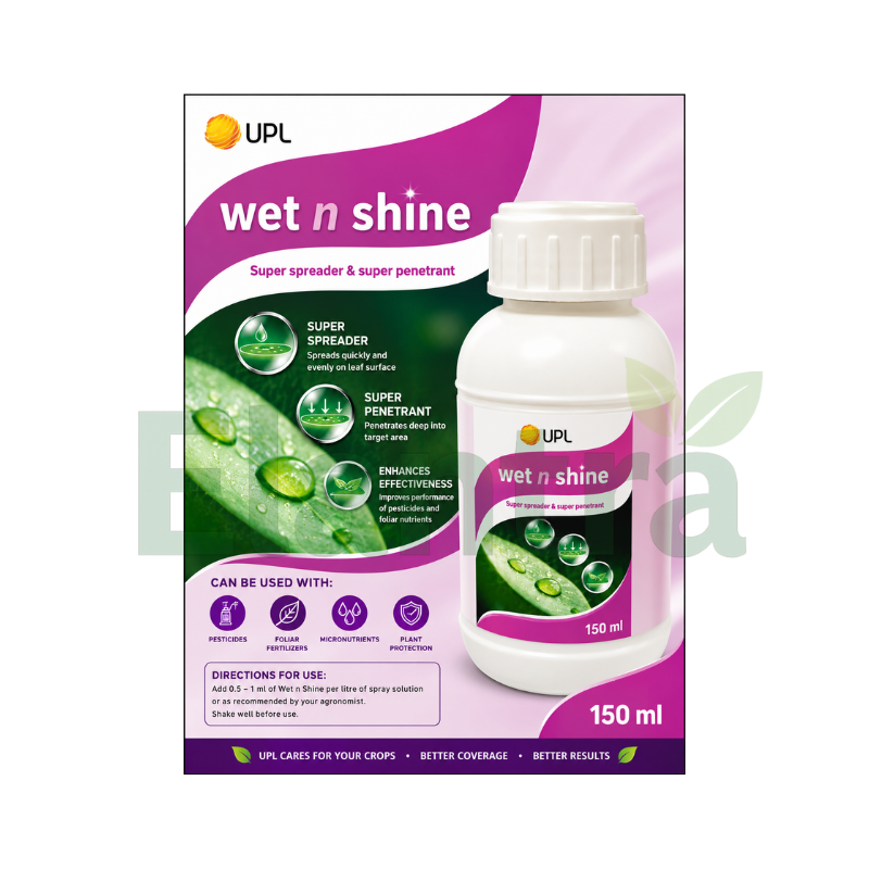 WET N SHINE